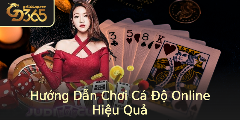 Hướng Dẫn Chơi Cá Độ Online Hiệu Quả