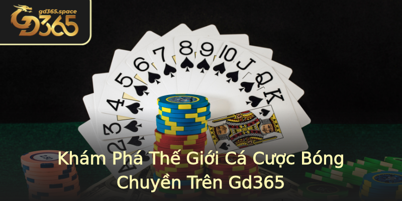 Khám Phá Thế Giới Cá Cược Bóng Chuyền Trên Gd365 Khám Phá Thế Giới Cá Cược Bóng Chuyền Trên Gd365