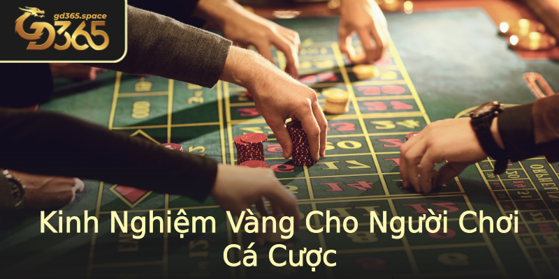 Kinh Nghiệm Vàng Cho Người Chơi Cá Cược Kinh Nghiệm Vàng Cho Người Chơi Cá Cược